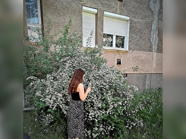 Welcome to cammodel profile for MarryTeilor999: Ask about my other activities