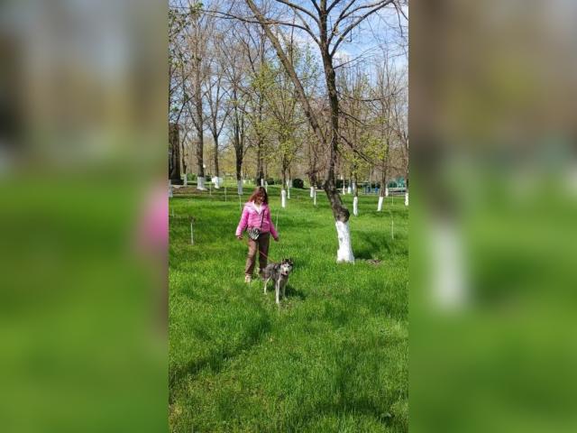 Welcome to cammodel profile for GoodWoman1: Ask about my other activities