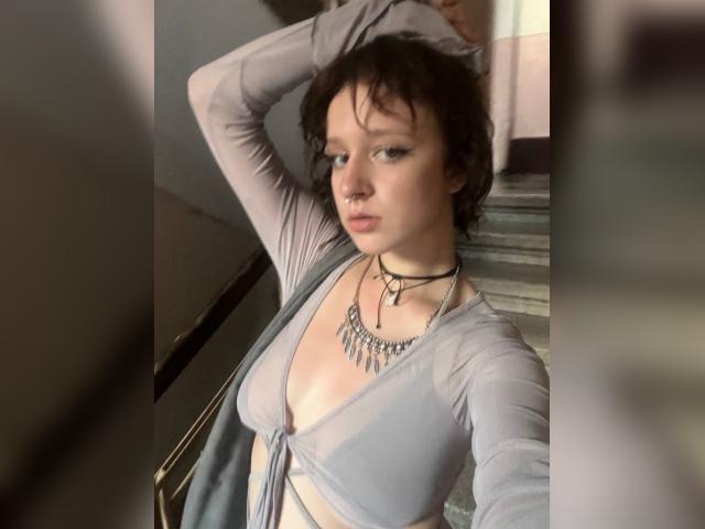 Visit Bohda profile