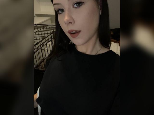 Visit LovePetal profile