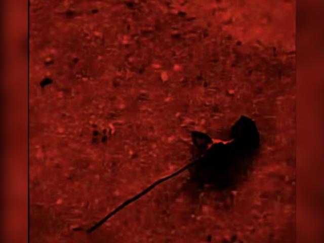 Visit 08Kleo profile