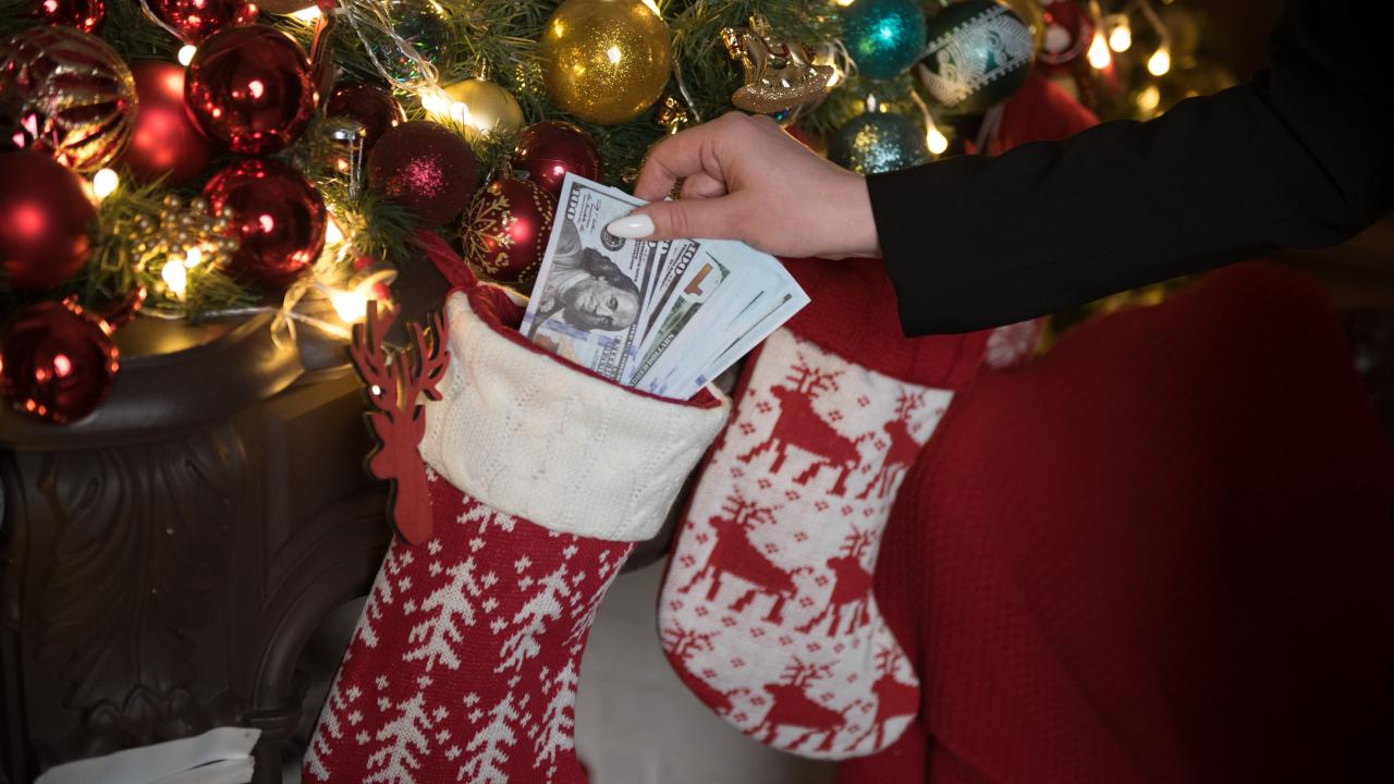 Webcam chat profile for PaypetHolder: Dominatrix