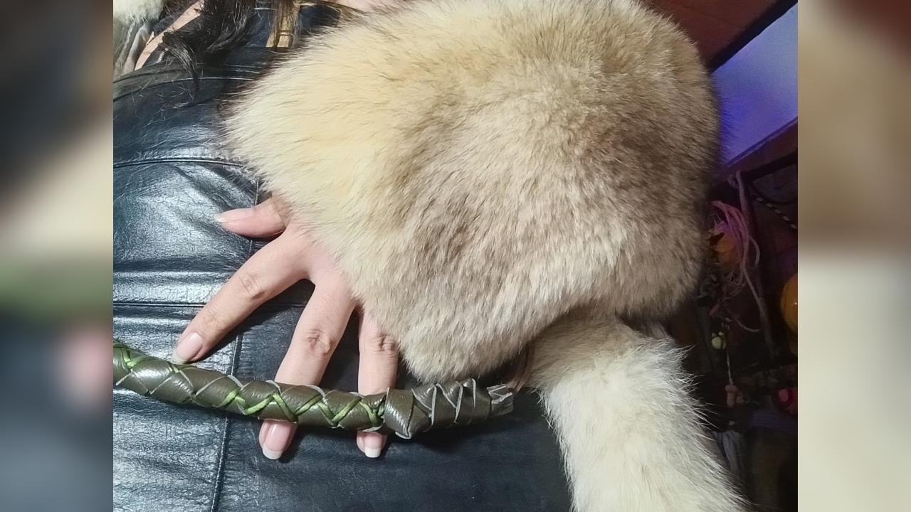 Webcam chat profile for PhyllisEskela3: Exhibition