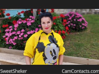 Webcam model SweetSheker from CamContacts