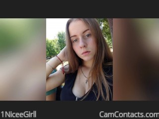Webcam model 1NiceeGirll from CamContacts