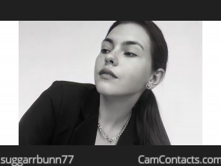 Webcam model suggarrbunn77 from CamContacts