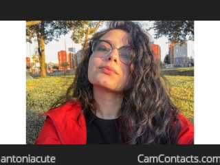 Webcam model antoniacute from CamContacts