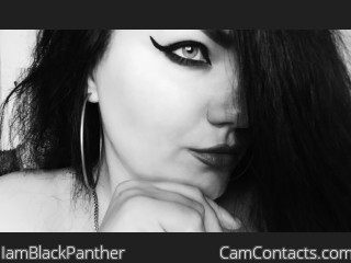 Webcam model IamBlackPanther from CamContacts