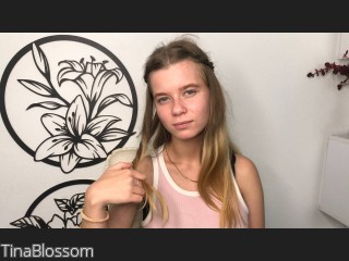 Webcam model TinaBlossom from CamContacts