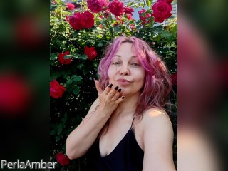 Webcam model PerlaAmber from CamContacts profile picture Webcam model PerlaAmber from CamContacts