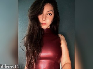 Webcam model littleray151 from CamContacts profile picture Webcam model littleray151 from CamContacts