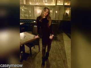 Webcam model caseymeow from CamContacts profile picture Webcam model caseymeow from CamContacts