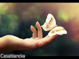 Casablancka