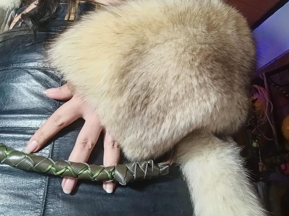 Webcam chat profile for PhyllisEskela3: Exhibition